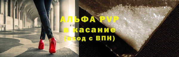 СК Надым