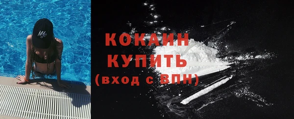 гашик Мегион